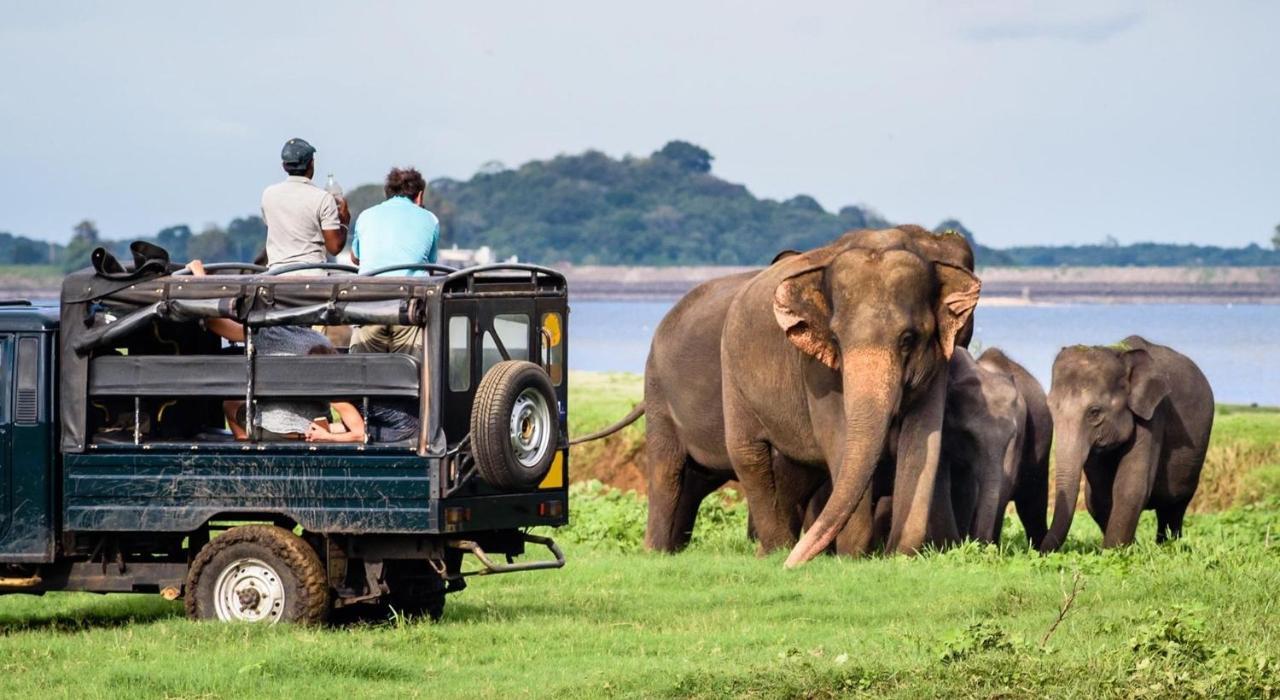 Dinesh Safari Homestay Udawalawe Bagian luar foto