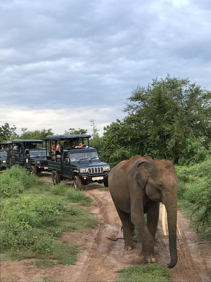 Dinesh Safari Homestay Udawalawe Bagian luar foto